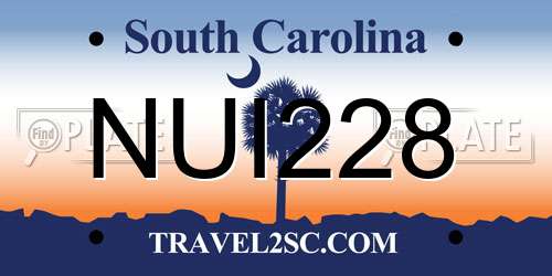 NUI228 South Carolina License Plate