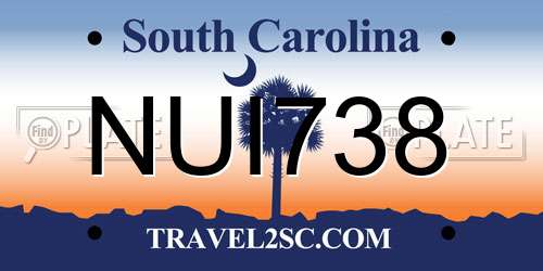 NUI738 South Carolina License Plate