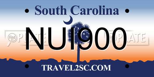 NUI900 South Carolina License Plate