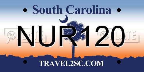 NUR120 South Carolina License Plate