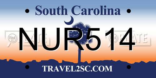 NUR514 South Carolina License Plate