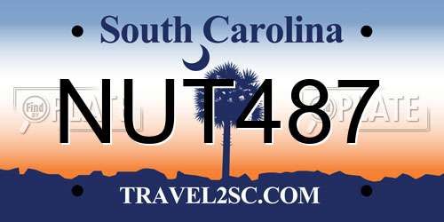 NUT487 South Carolina License Plate