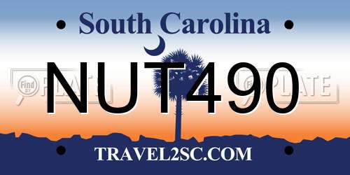 NUT490 South Carolina License Plate