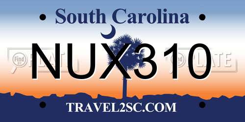 NUX310 South Carolina License Plate