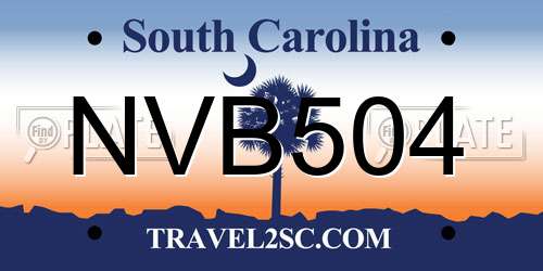 NVB504 South Carolina License Plate
