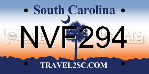 NVF294 South Carolina License Plate