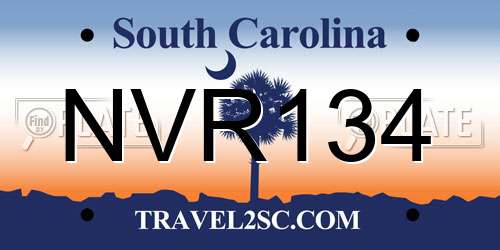 NVR134 South Carolina License Plate
