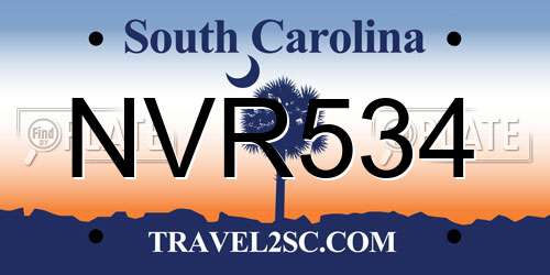 NVR534 South Carolina License Plate