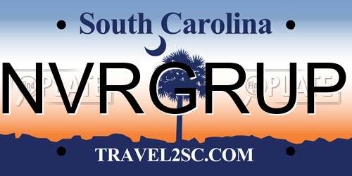 NVRGRUP South Carolina License Plate