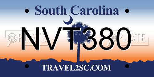 NVT380 South Carolina License Plate