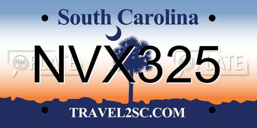 NVX325 South Carolina License Plate