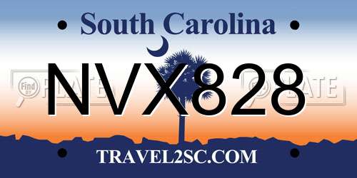 NVX828 South Carolina License Plate