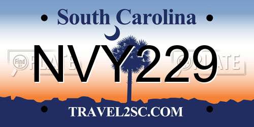 NVY229 South Carolina License Plate