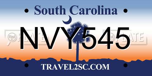 NVY545 South Carolina License Plate