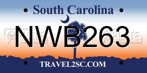 NWB263 South Carolina License Plate