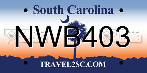 NWB403 South Carolina License Plate