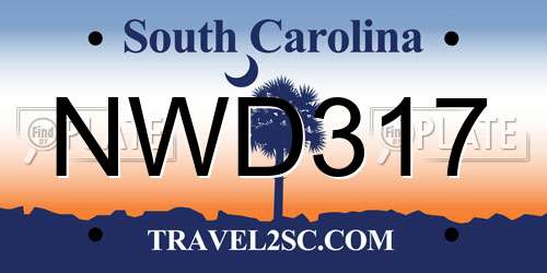 NWD317 South Carolina License Plate