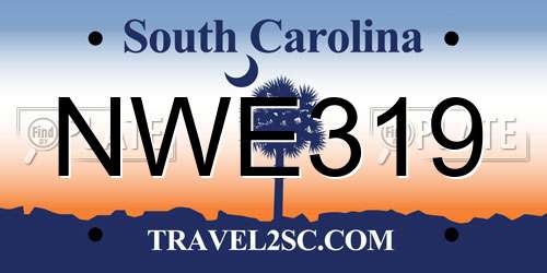 NWE319 South Carolina License Plate