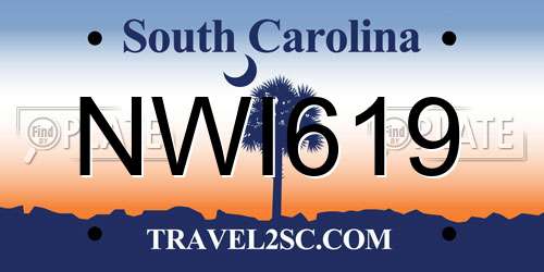 NWI619 South Carolina License Plate