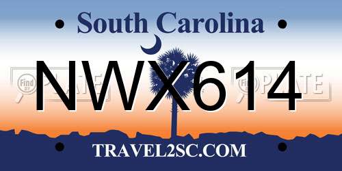 NWX614 South Carolina License Plate