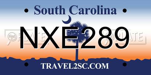 NXE289 South Carolina License Plate