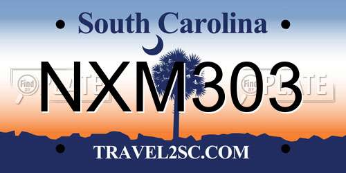 NXM303 South Carolina License Plate