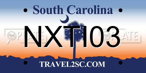 NXTI03 South Carolina License Plate