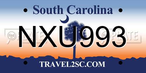 NXU993 South Carolina License Plate