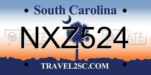 NXZ524 South Carolina License Plate