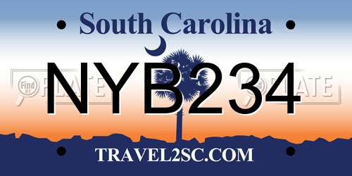 NYB234 South Carolina License Plate