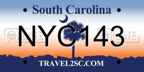 NYC143 South Carolina License Plate