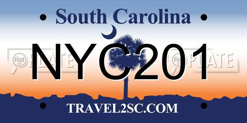 NYC201 South Carolina License Plate