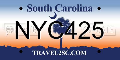 NYC425 South Carolina License Plate
