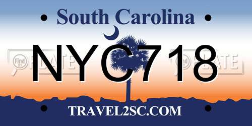 NYC718 South Carolina License Plate