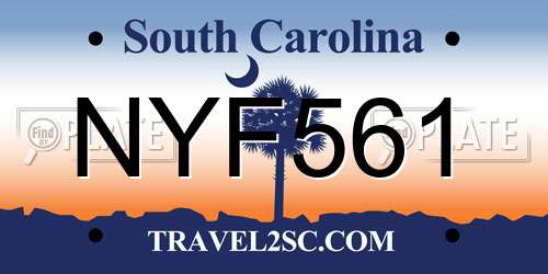 NYF561 South Carolina License Plate
