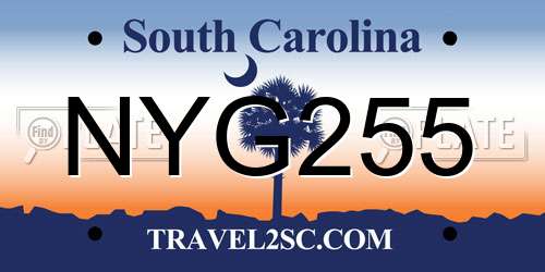 NYG255 South Carolina License Plate