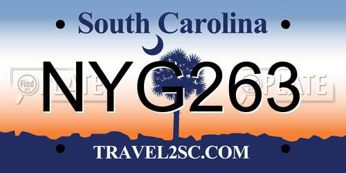 NYG263 South Carolina License Plate