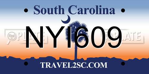 NYI609 South Carolina License Plate