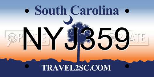 NYJ359 South Carolina License Plate