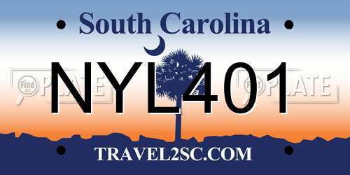 NYL401 South Carolina License Plate