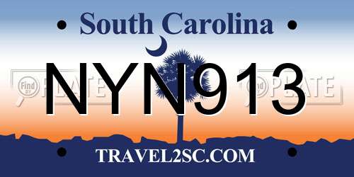 NYN913 South Carolina License Plate