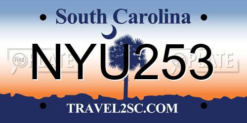 NYU253 South Carolina License Plate