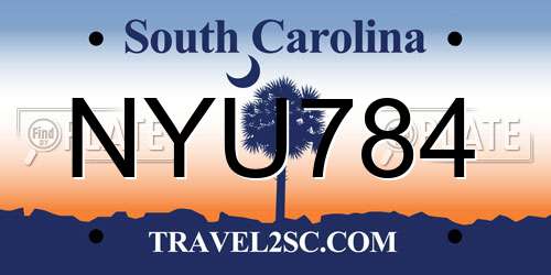 NYU784 South Carolina License Plate