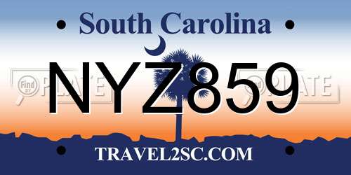 NYZ859 South Carolina License Plate