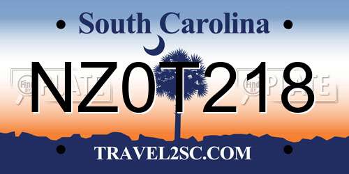 NZ0T218 South Carolina License Plate