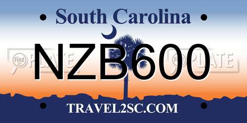NZB600 South Carolina License Plate