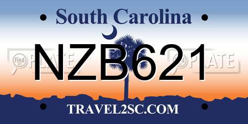 NZB621 South Carolina License Plate