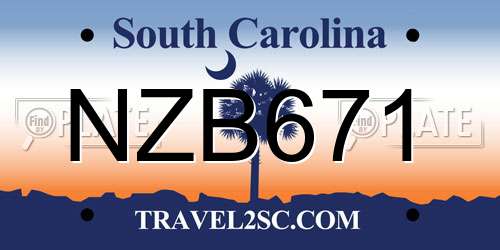 NZB671 South Carolina License Plate