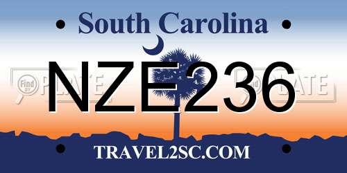 NZE236 South Carolina License Plate