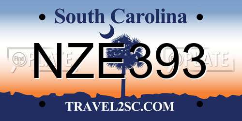 NZE393 South Carolina License Plate